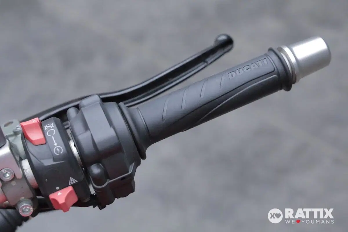 Ducati Monster 1200 (2017 - 21) (12)