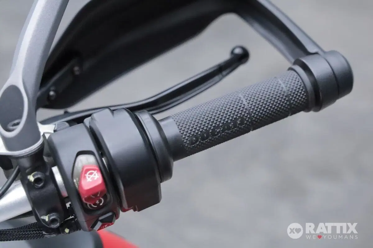 Ducati Multistrada V4 Rally (2023 - 25) (12)