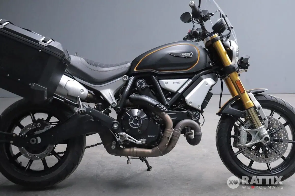 Ducati Scrambler 1100 (2018 - 20) (8)