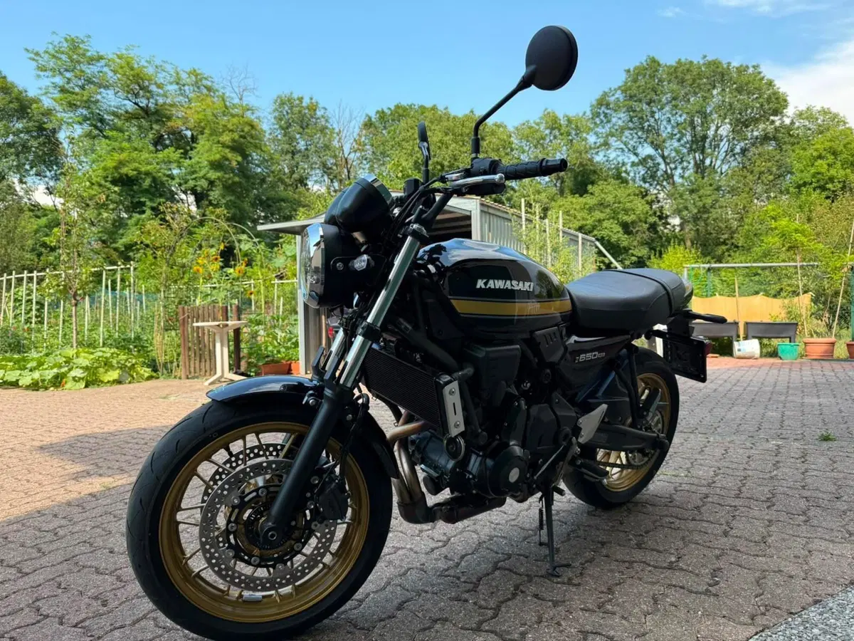 Kawasaki Z 650 RS (2025 - 26)