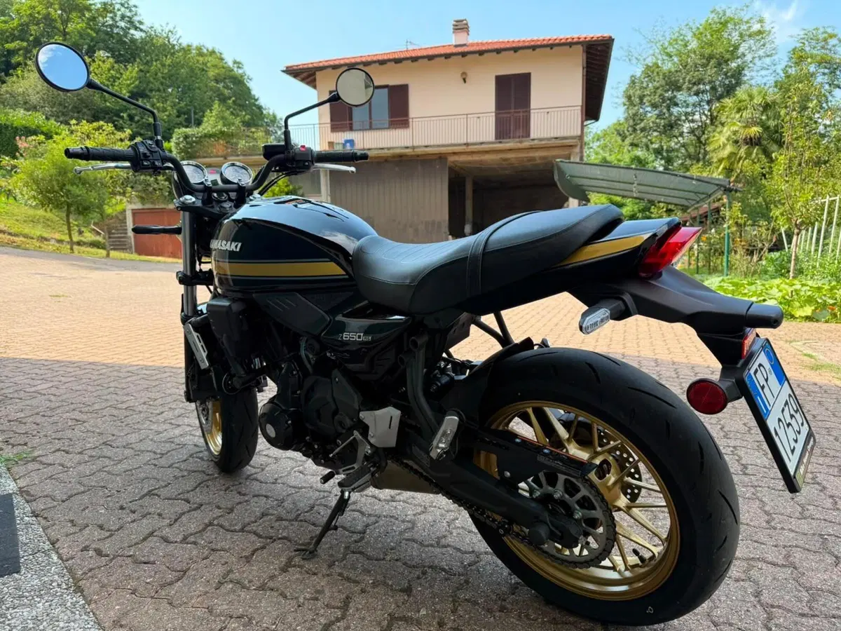 Kawasaki Z 650 RS (2025 - 26) (8)