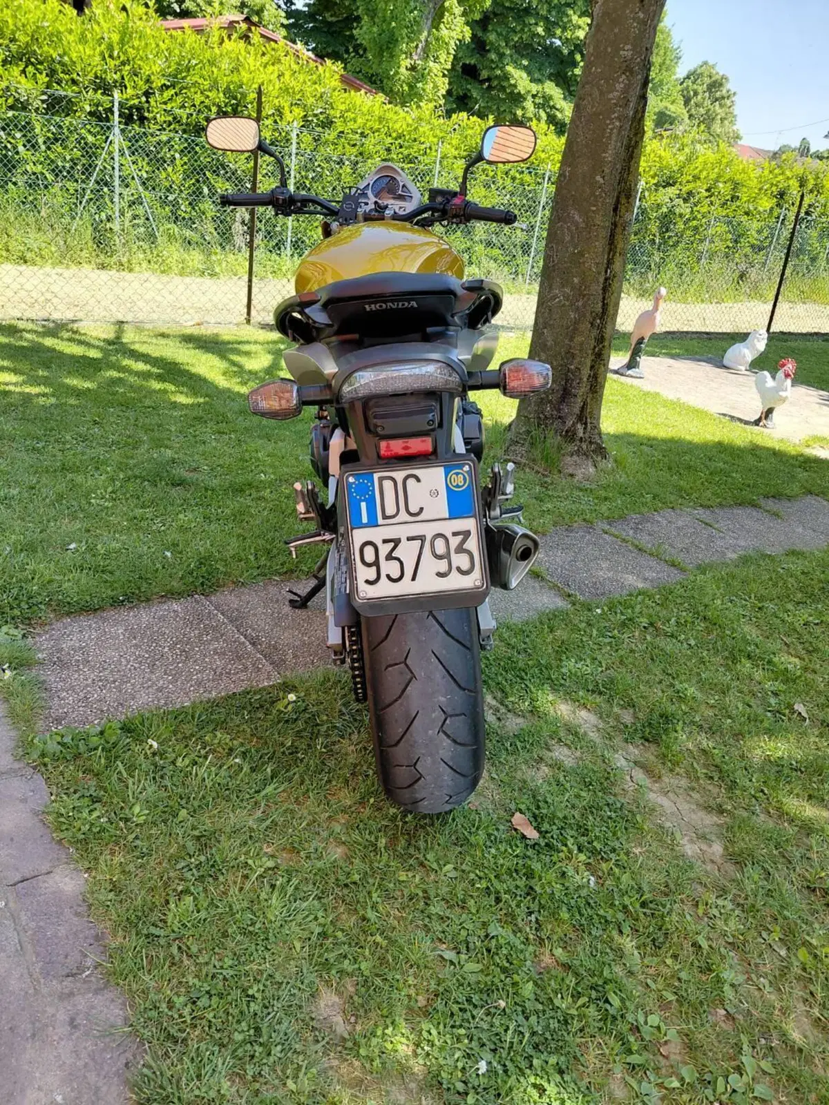 Honda Hornet 600 (2007 - 10) (2)