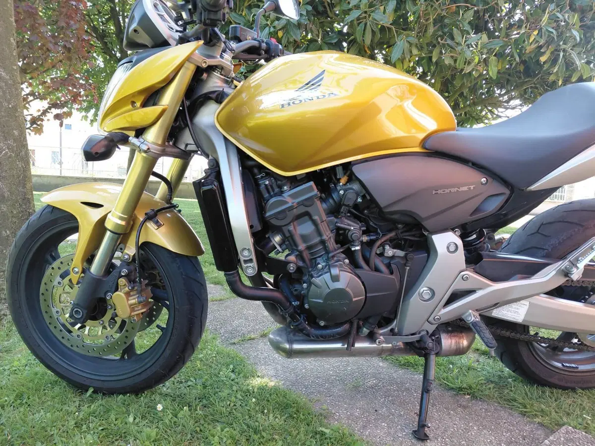 Honda Hornet 600 (2007 - 10) (5)