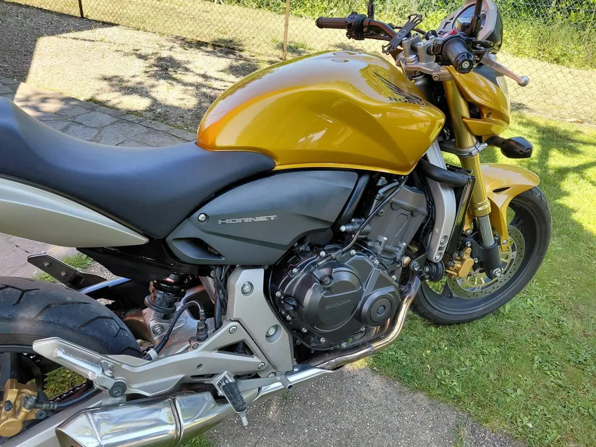 Honda Hornet 600 (2007 - 10) (9)