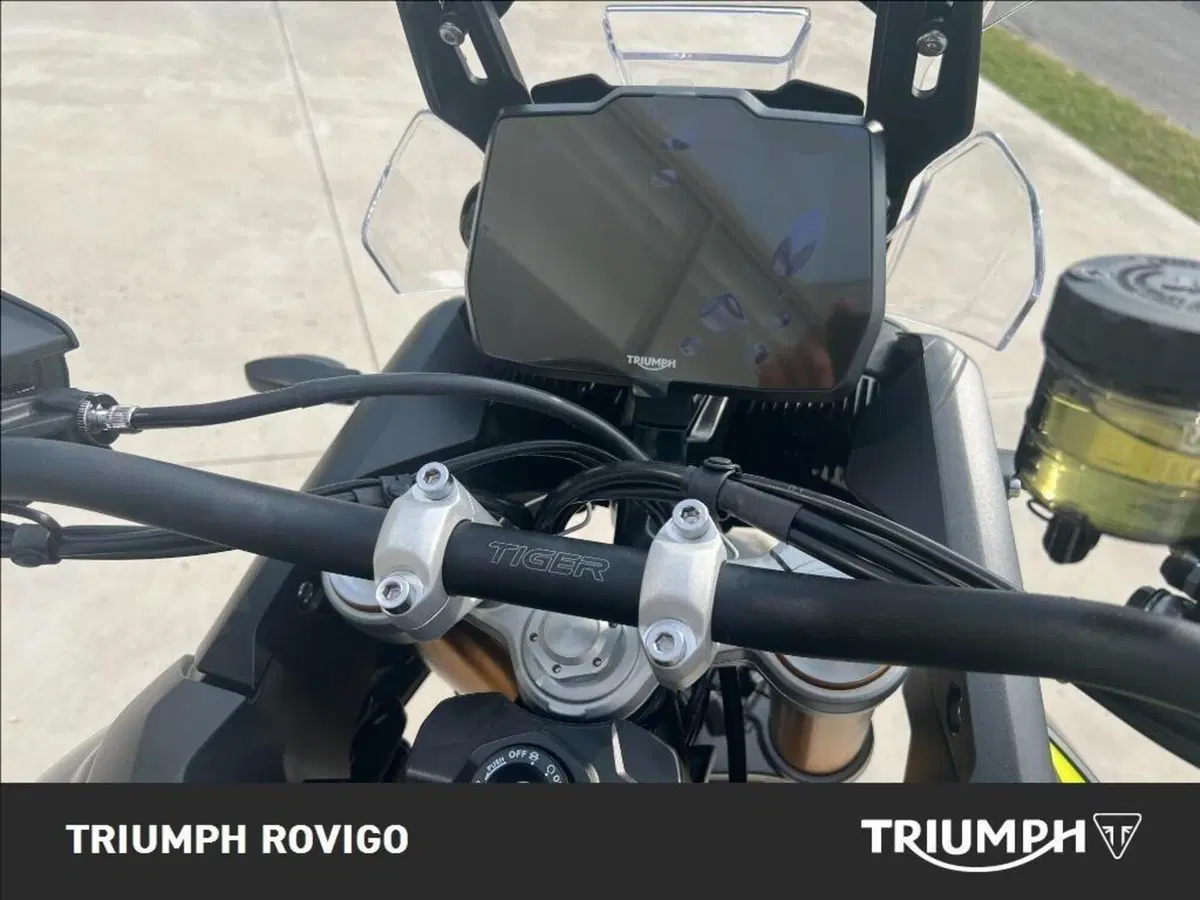 Triumph Tiger 900 Rally Pro (2024 - 26) (4)