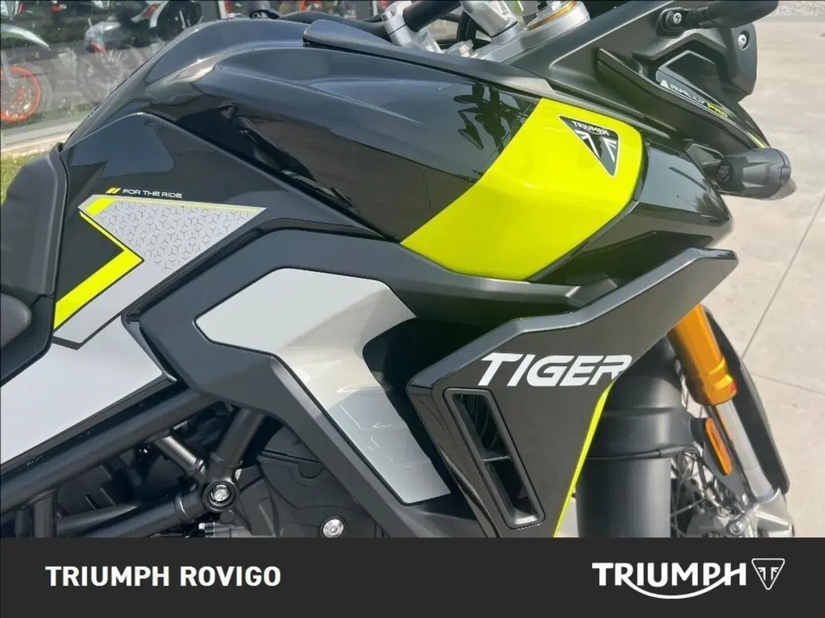Triumph Tiger 900 Rally Pro (2024 - 26) (5)