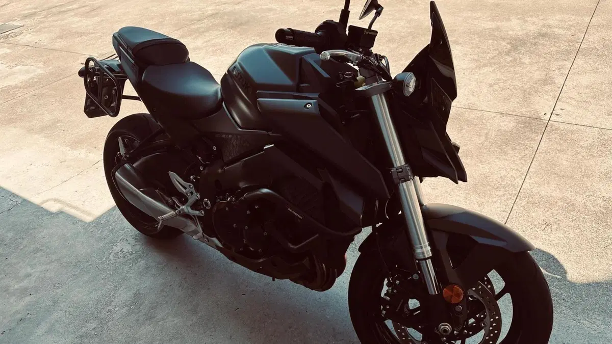Suzuki GSX-S950 (2021 - 23) (2)