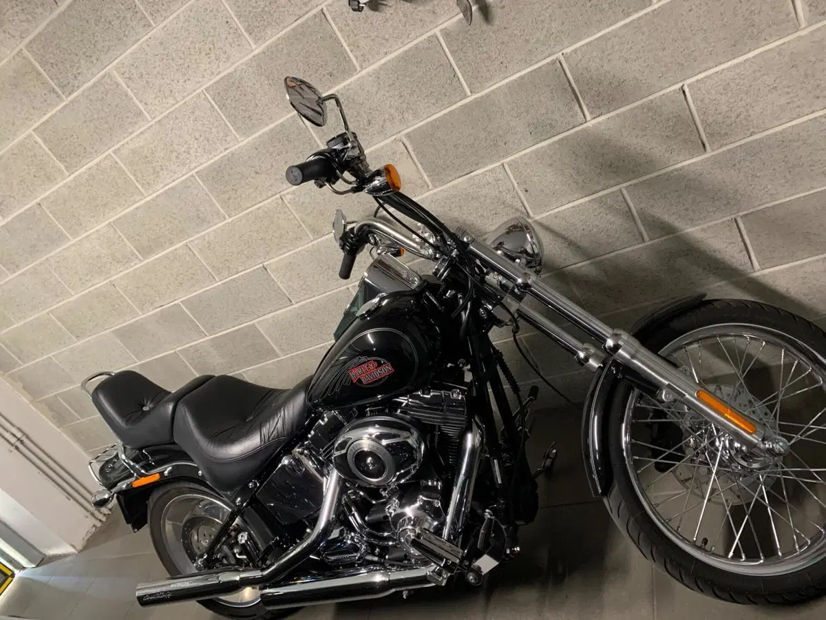 Harley-Davidson 1584 Custom (2008 - 09) - FXSTC