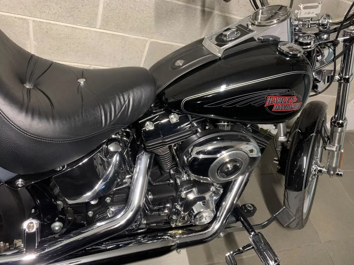 Harley-Davidson 1584 Custom (2008 - 09) - FXSTC (2)