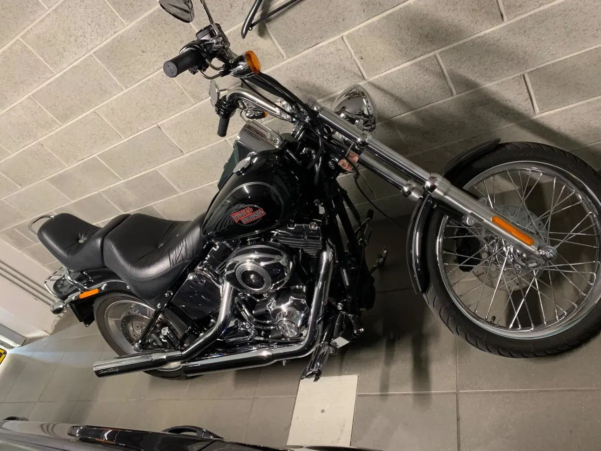 Harley-Davidson 1584 Custom (2008 - 09) - FXSTC (7)