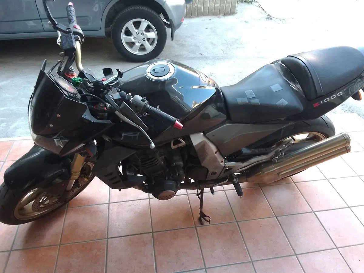 Kawasaki Z 1000 (2003 - 06) (4)