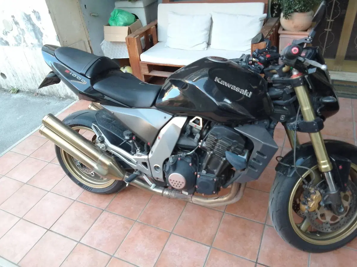 Kawasaki Z 1000 (2003 - 06) (5)