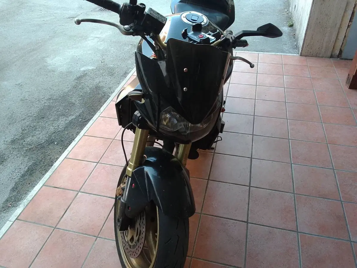 Kawasaki Z 1000 (2003 - 06) (6)