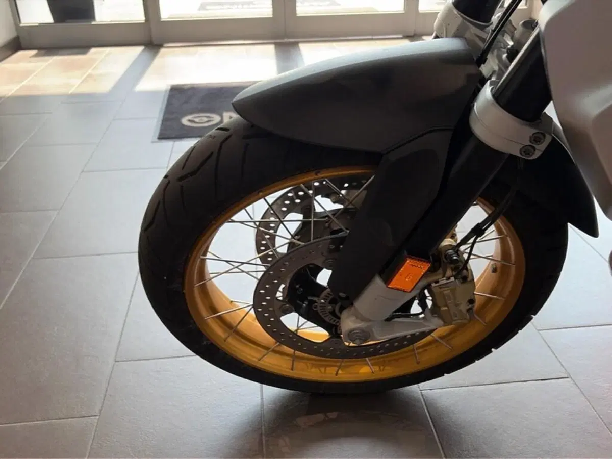 Bmw R 1250 GS Adventure (2019 - 20) (10)