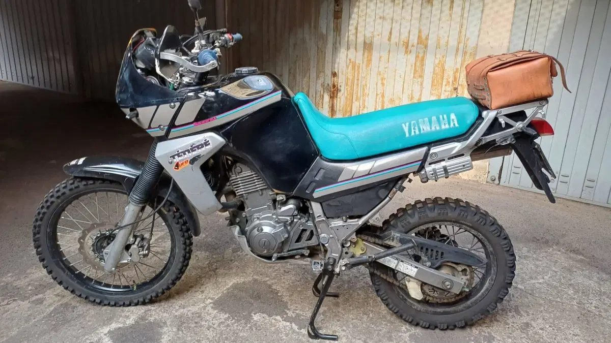 Yamaha XTZ 660 Téneré (1991 - 98) (6)