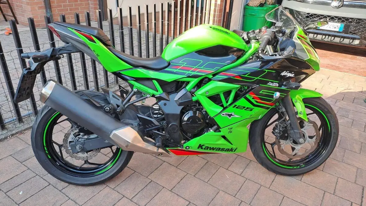 Kawasaki Ninja 125 (2021 - 24) (3)
