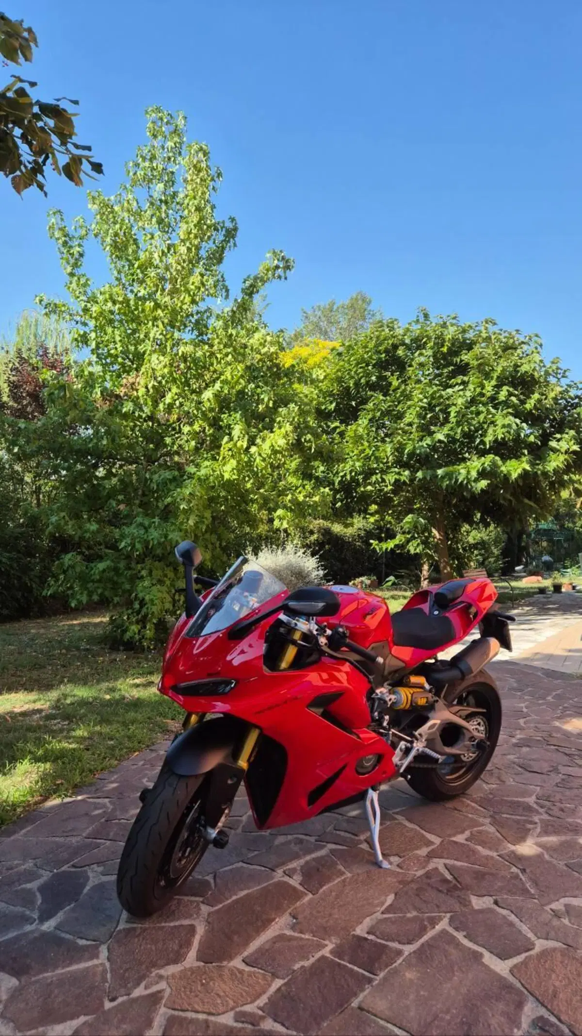 Ducati Panigale V2 S (2025 - 26) (2)