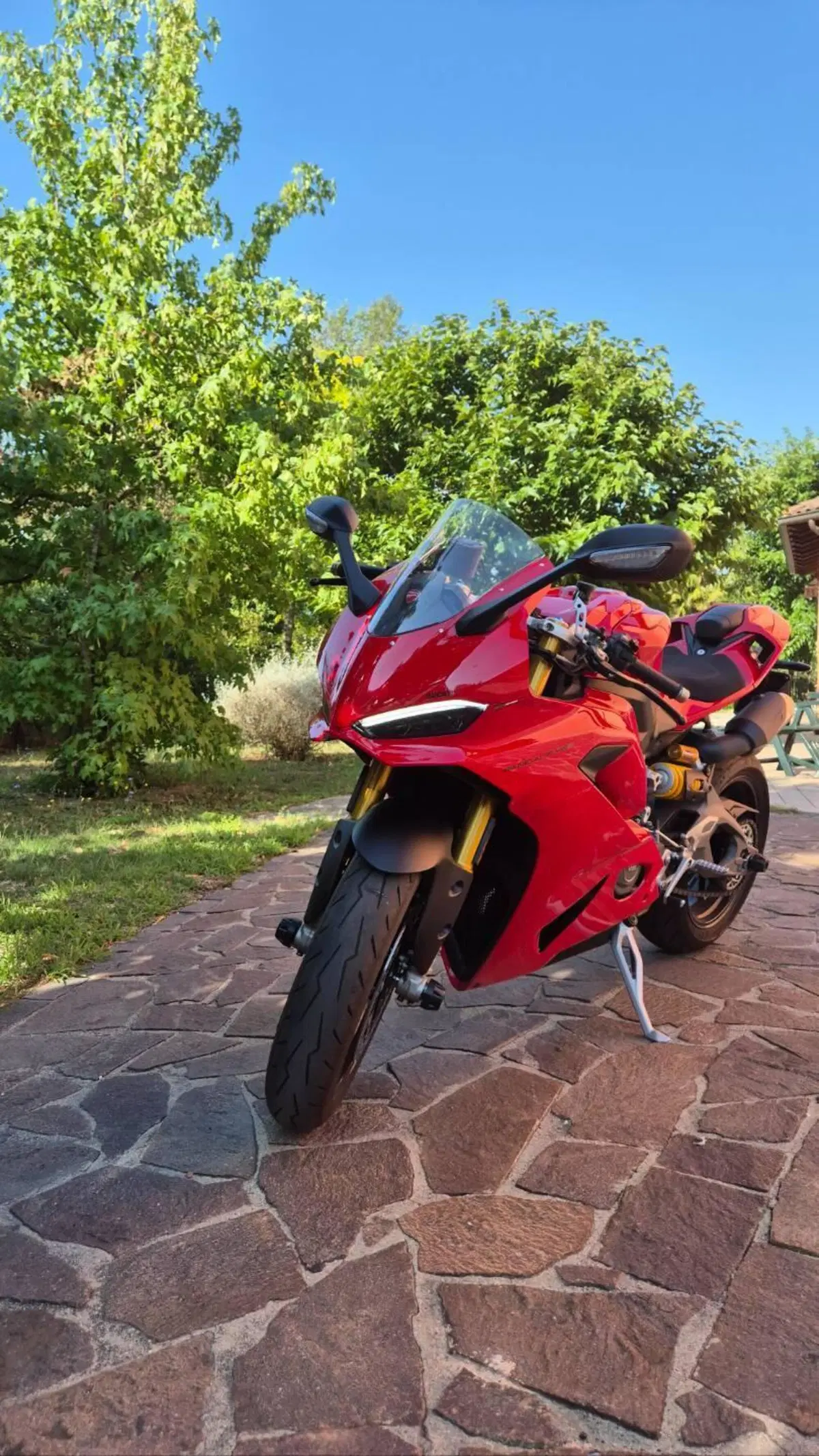 Ducati Panigale V2 S (2025 - 26)