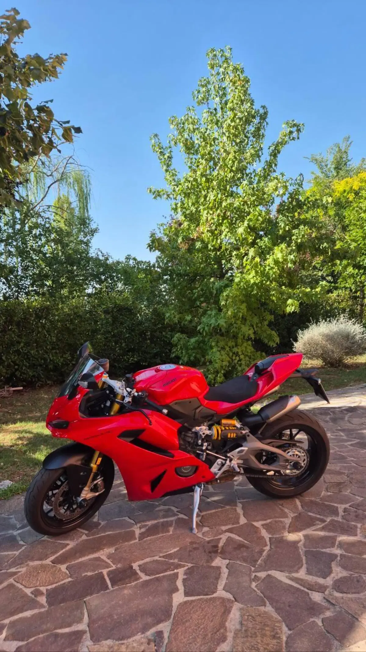 Ducati Panigale V2 S (2025 - 26) (5)