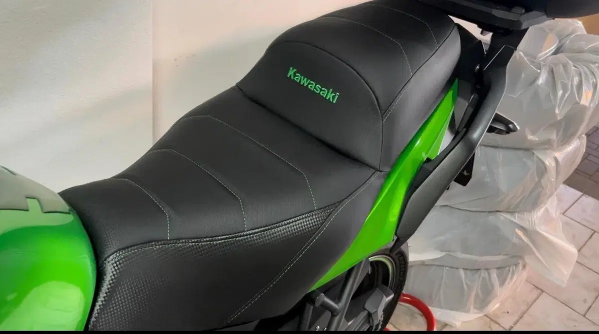 Kawasaki Versys 650 (2017 - 20) (2)