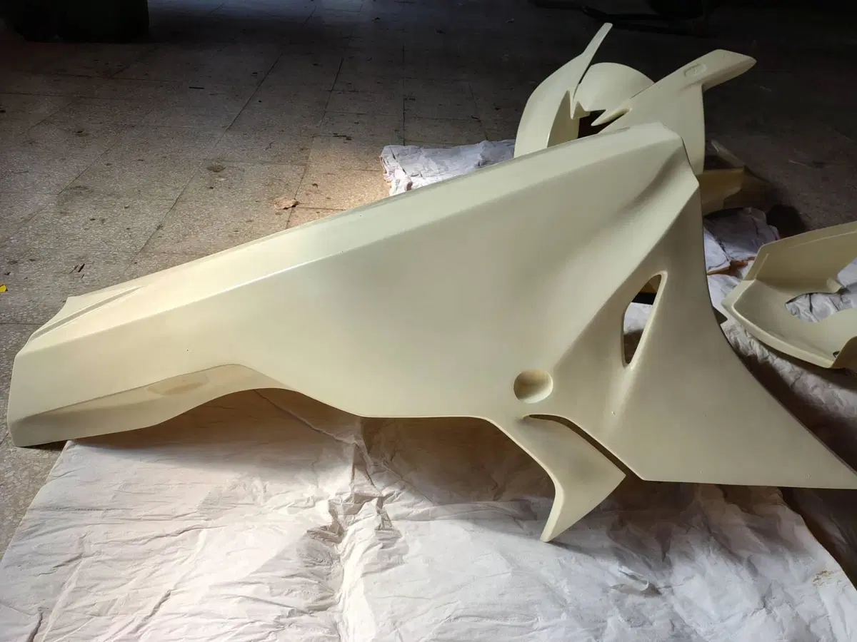 carene vetroresina per BMW 1000 RR del 2019 (2)