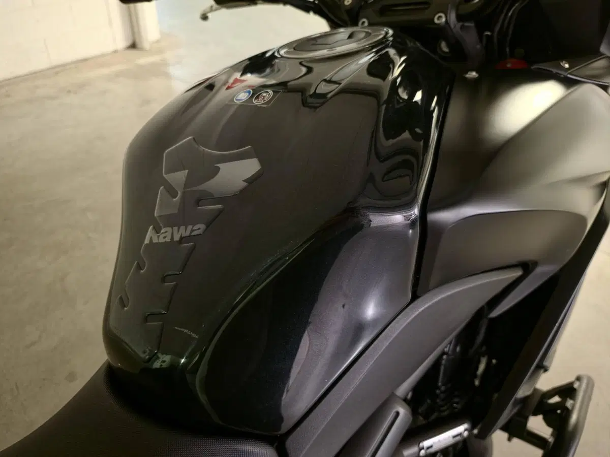 Kawasaki Versys 650 ABS (2015 - 16) (4)