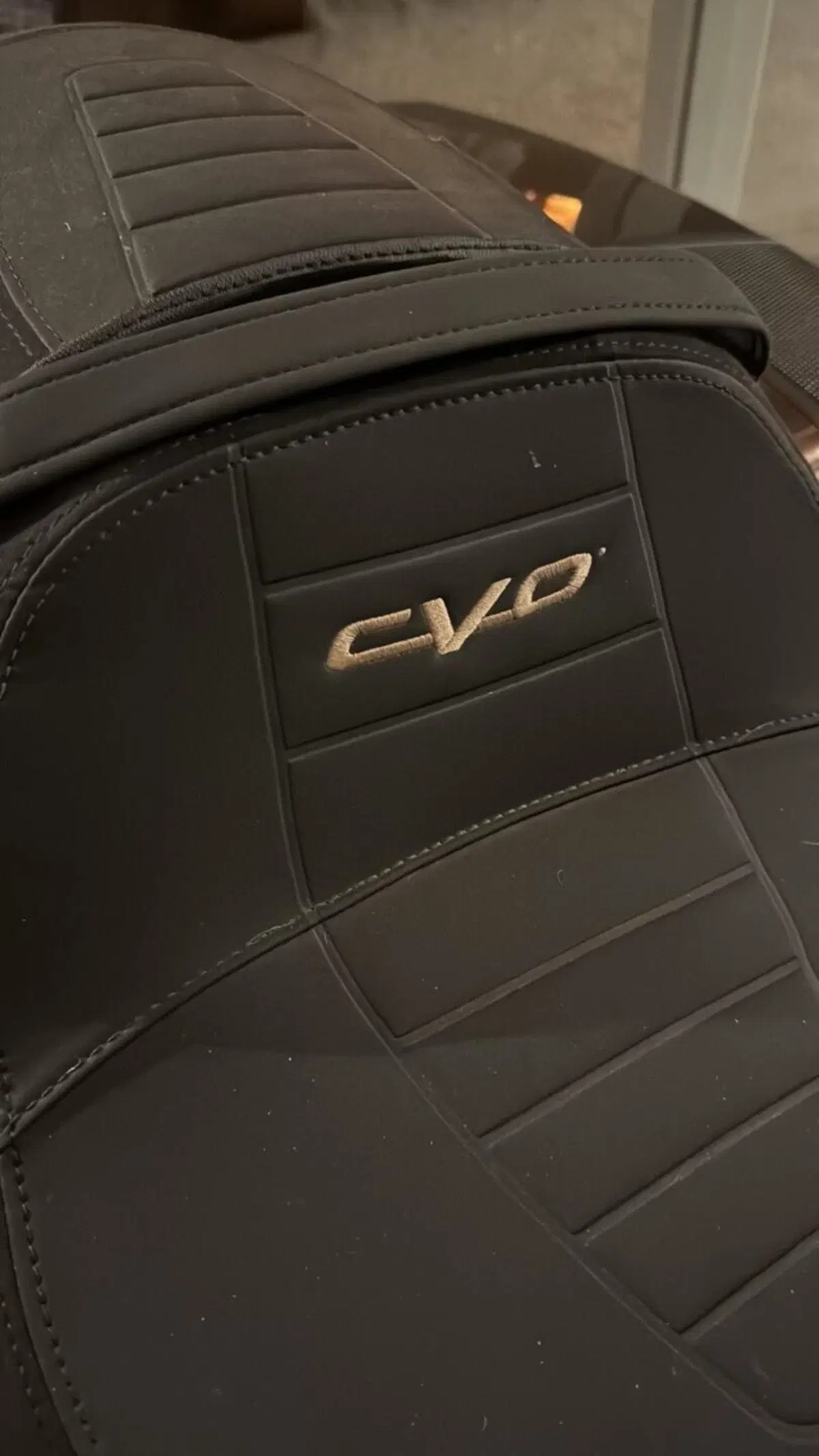 Harley-Davidson CVO Street Glide (2024) (10)