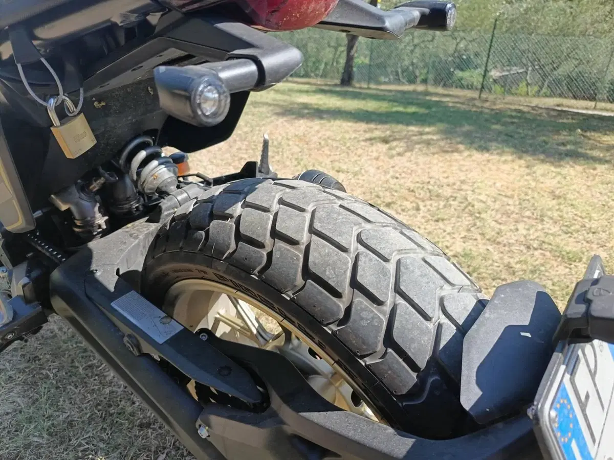 Ducati Scrambler 800 Full Throttle (2025 - 26) (6)