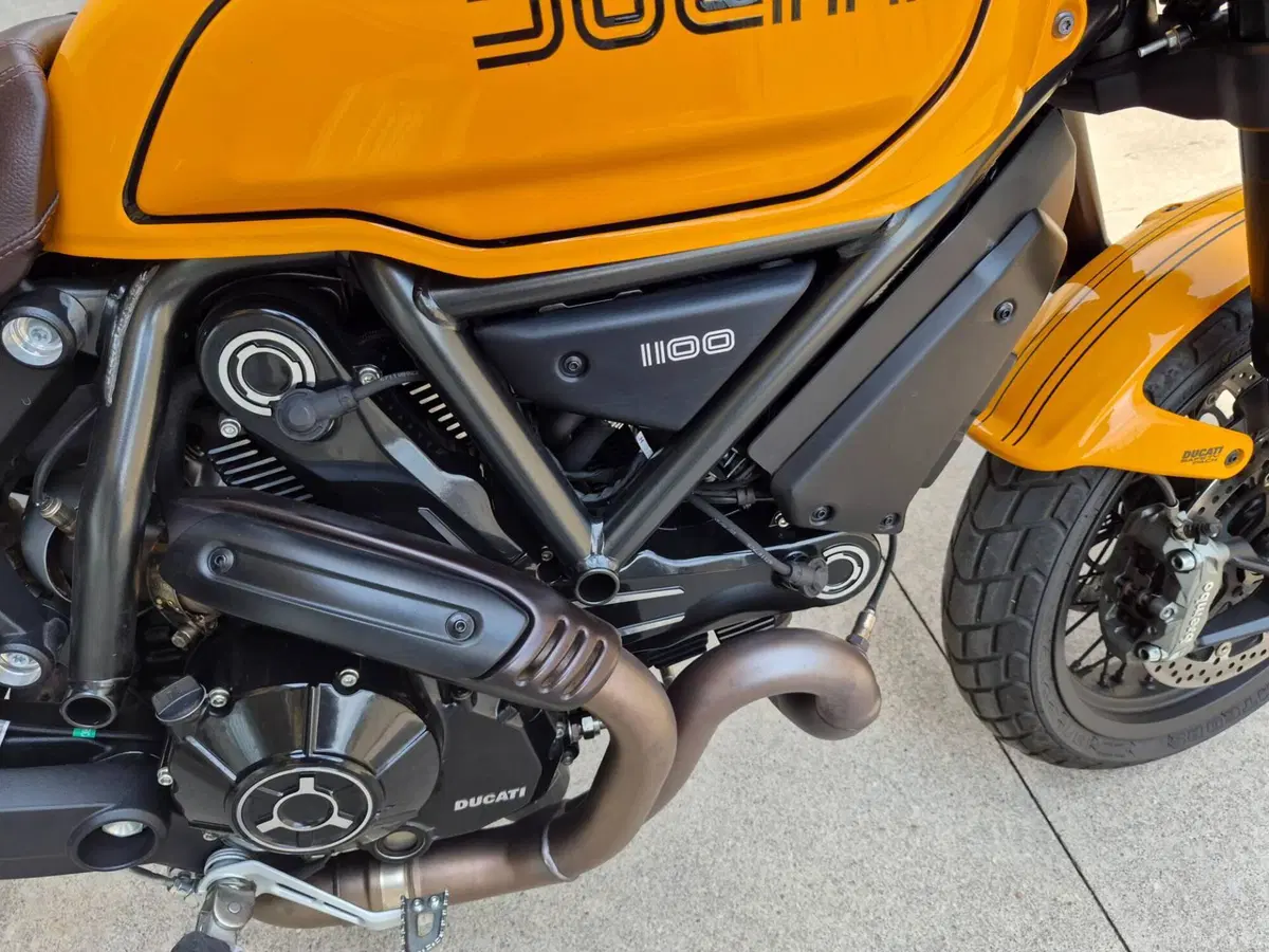 Ducati Scrambler 1100 Tribute Pro (2022 - 24) (4)