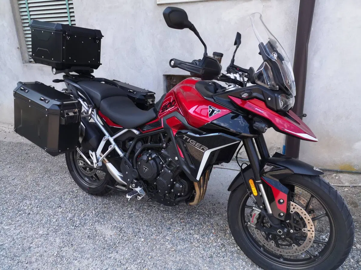 Triumph Tiger 900 GT Pro (2024 - 26)