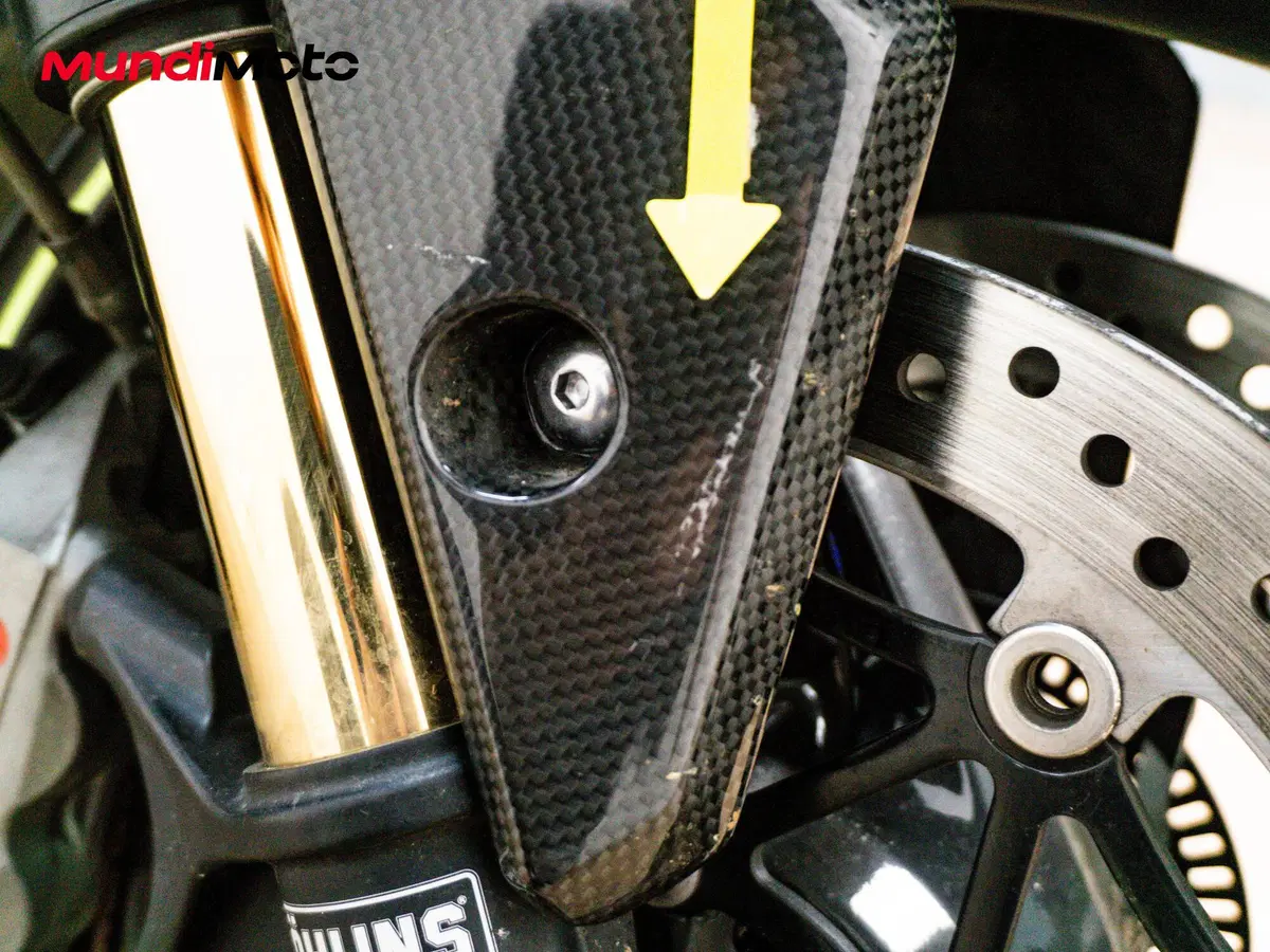 Triumph Speed Triple 1050 RS (2018 - 20) (15)