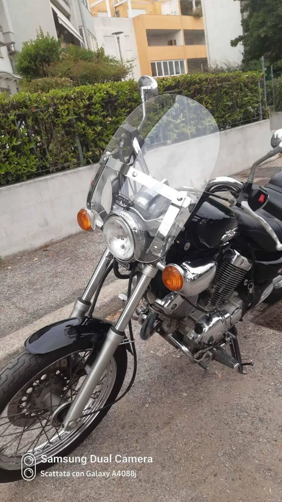 Yamaha XV 535 DX Virago (1998 - 04) (6)