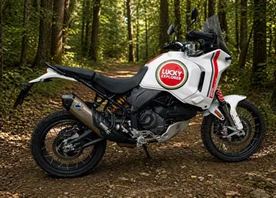 Ducati DesertX (2022 - 25) usata