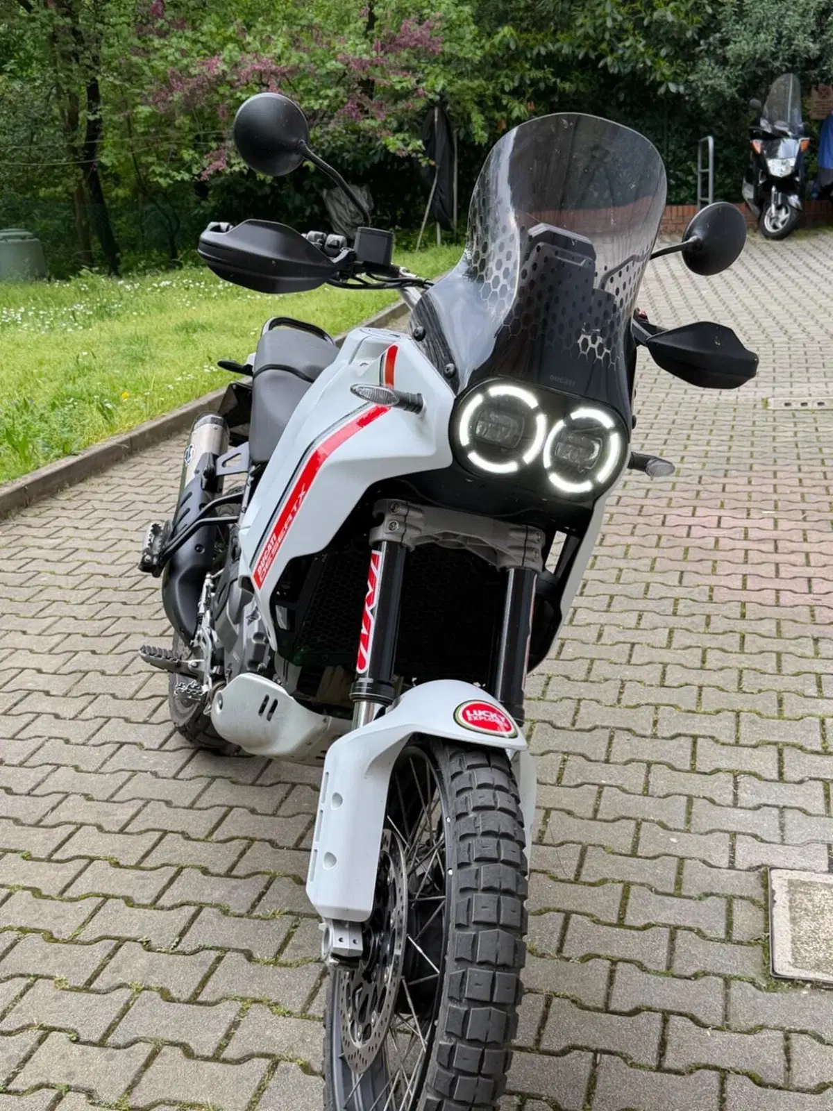 Ducati DesertX (2022 - 25) (2)