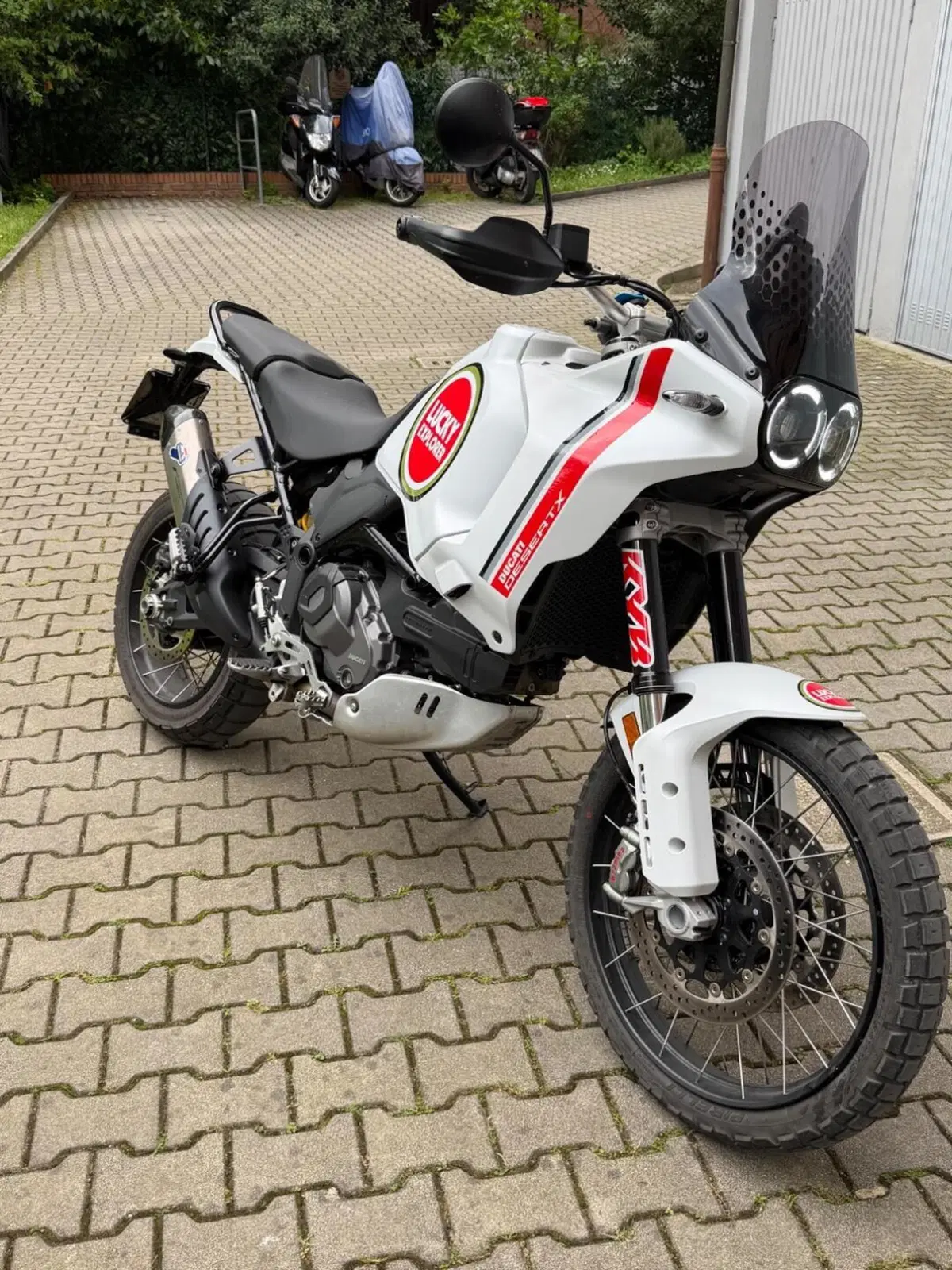 Ducati DesertX (2022 - 25) (4)