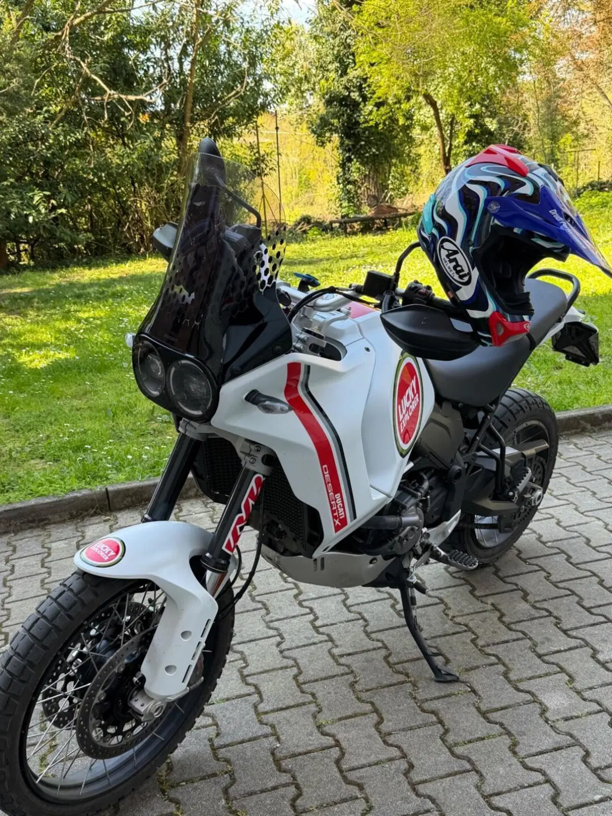 Ducati DesertX (2022 - 25) (6)