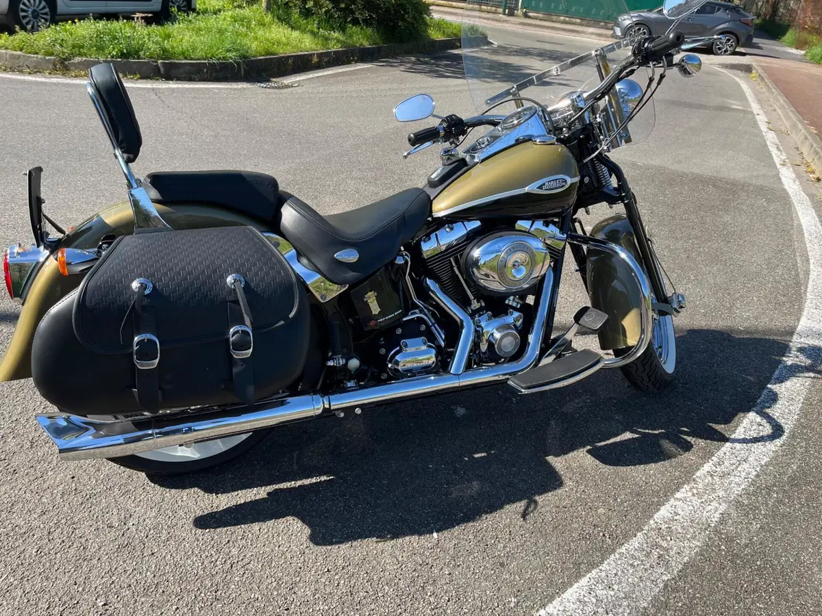 Harley-Davidson 1584 Springer Classic (2006 - 07) - FLSTSC (3)