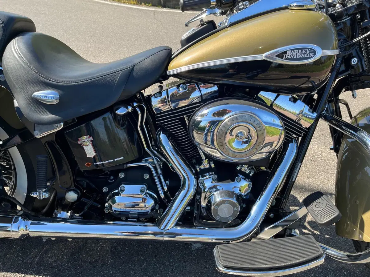 Harley-Davidson 1584 Springer Classic (2006 - 07) - FLSTSC (6)