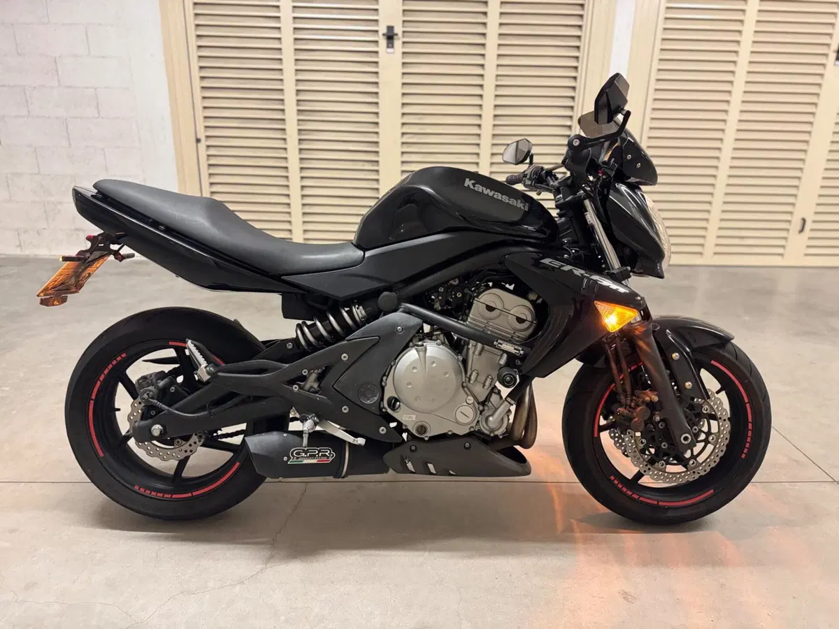 Kawasaki ER-6N (2005 - 08) (2)