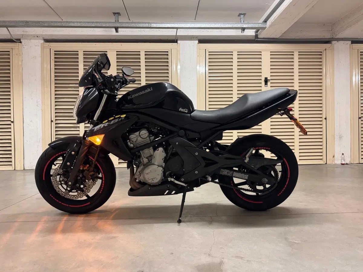 Kawasaki ER-6N (2005 - 08) (4)