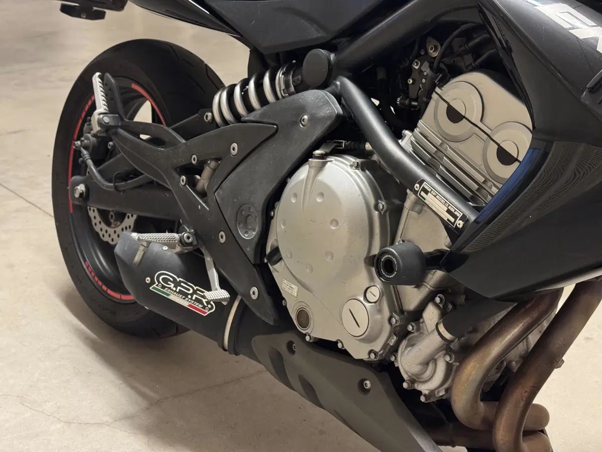 Kawasaki ER-6N (2005 - 08) (5)