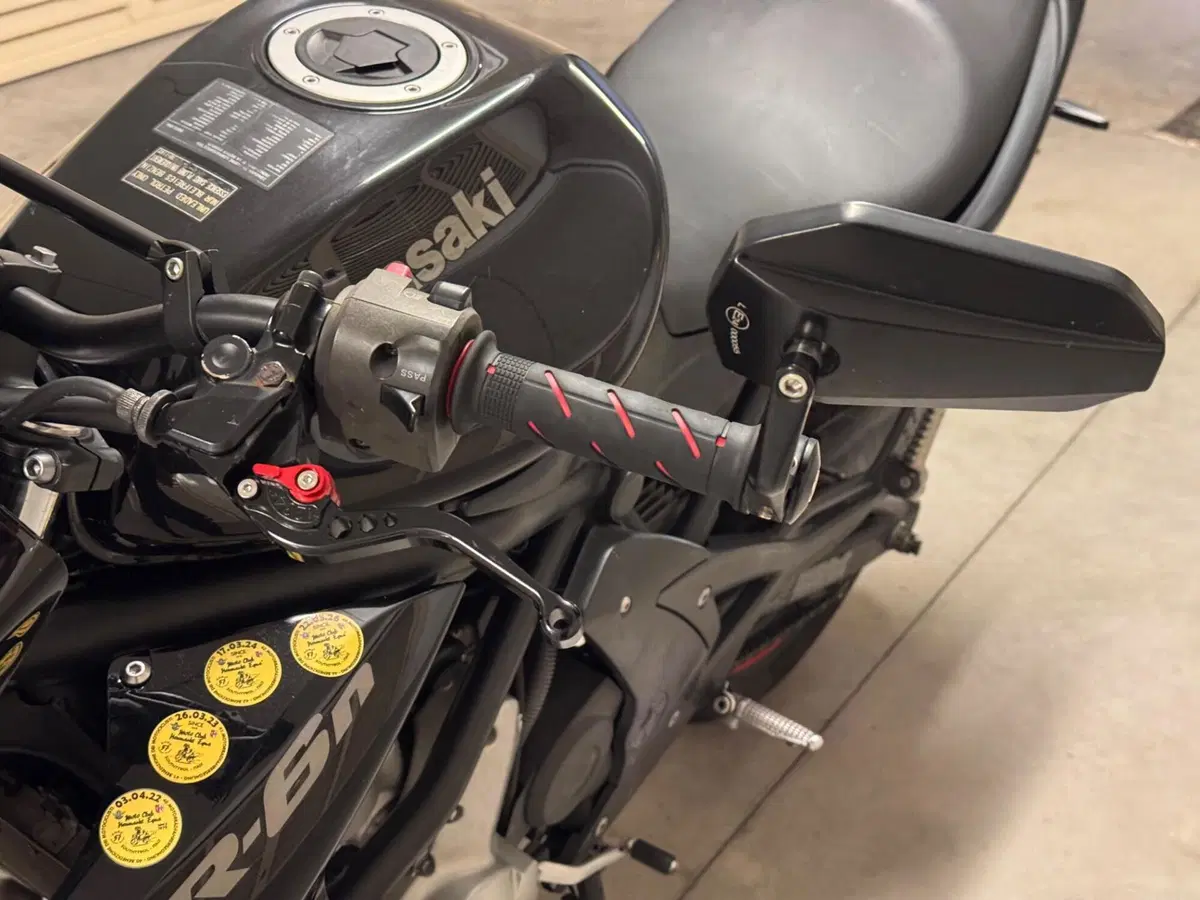Kawasaki ER-6N (2005 - 08) (6)