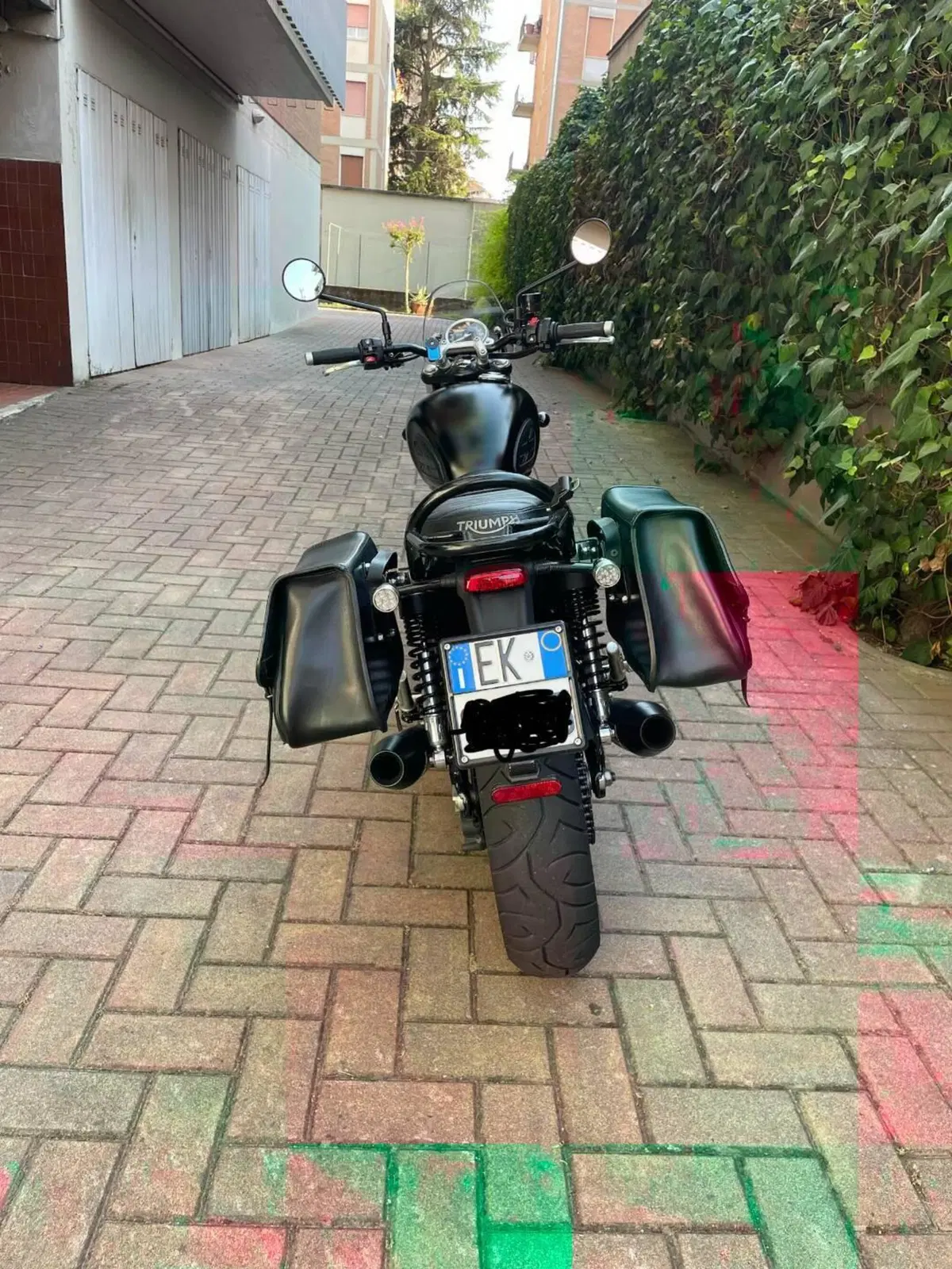 Triumph Street Twin 900 (2017 - 18) (3)