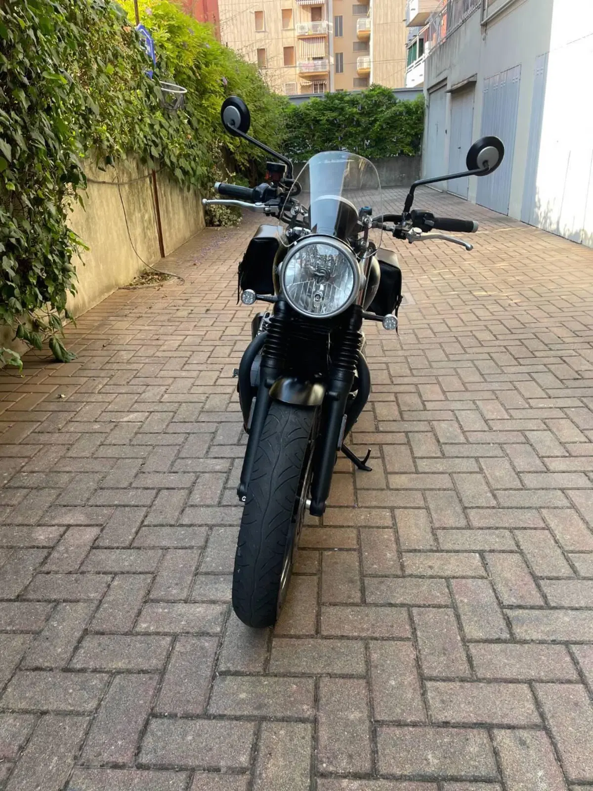 Triumph Street Twin 900 (2017 - 18) (4)