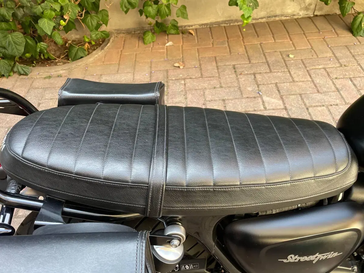 Triumph Street Twin 900 (2017 - 18) (11)