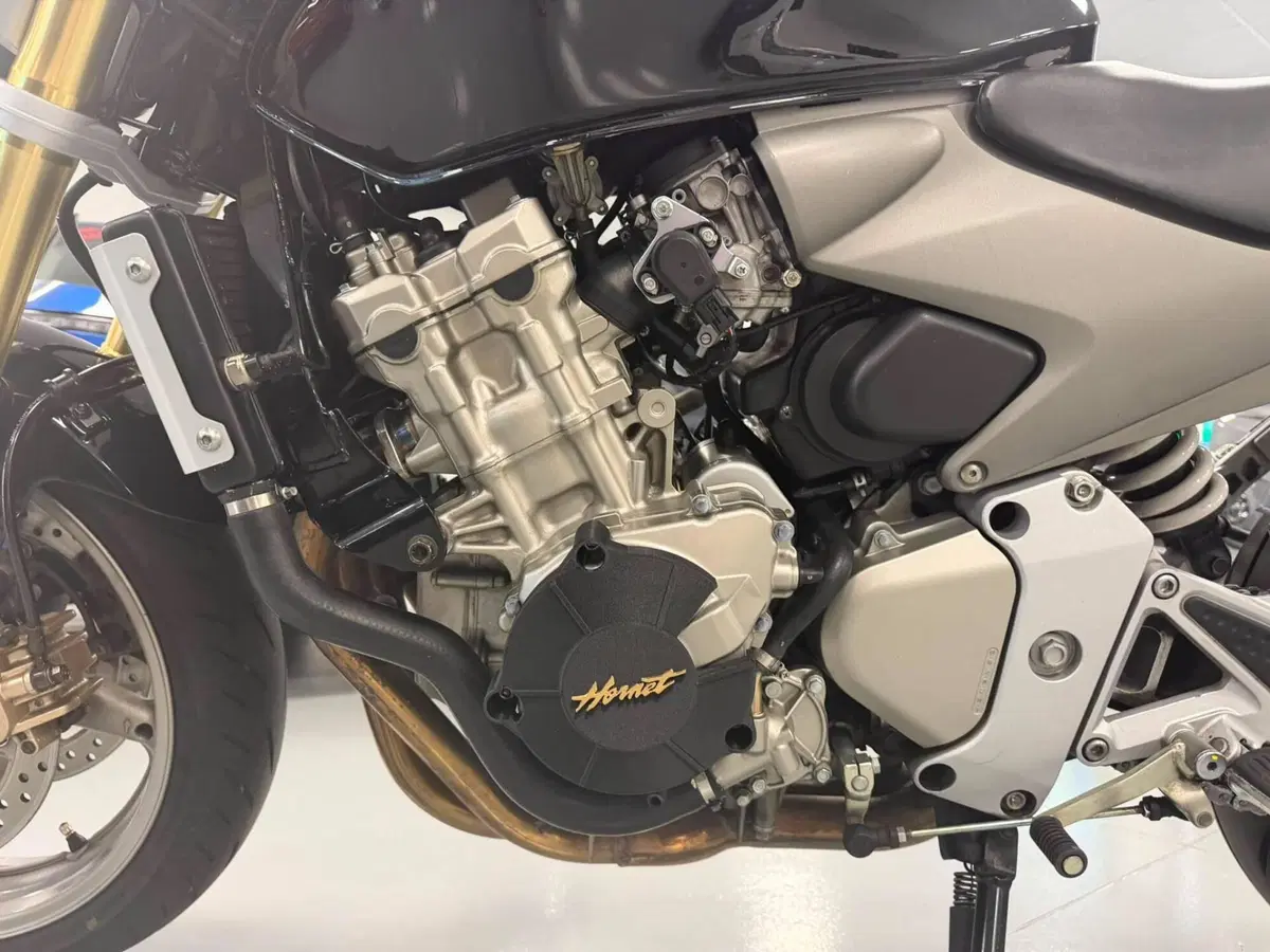 Honda Hornet 600 (2005 - 06) (4)