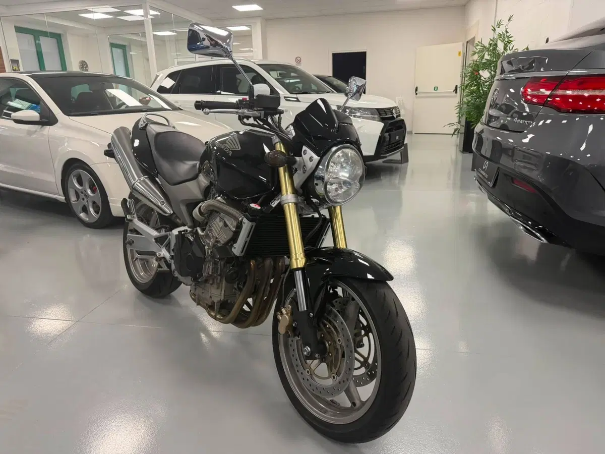 Honda Hornet 600 (2005 - 06) (5)