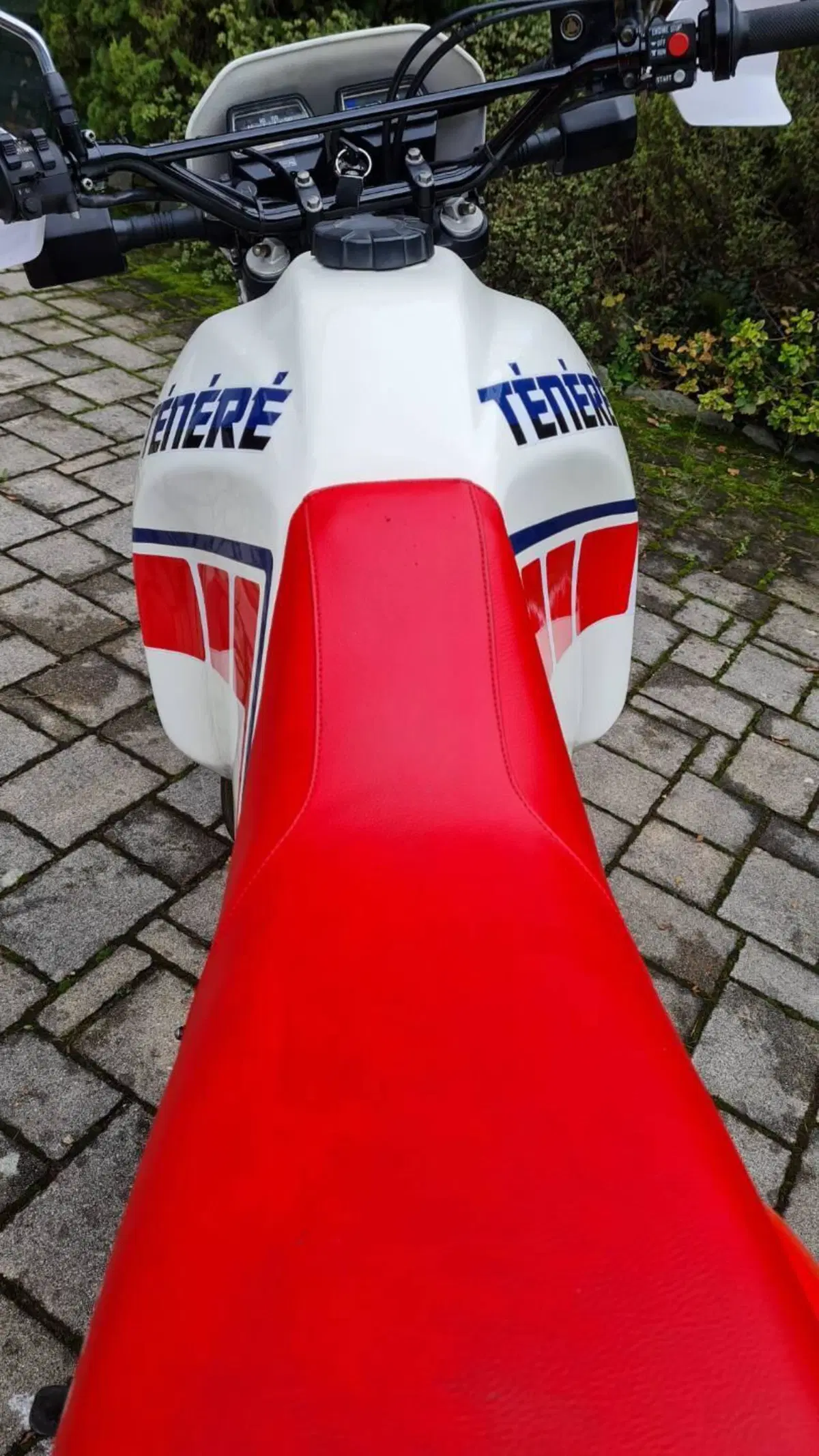 Yamaha Ténéré 600 XT 1VJ (5)