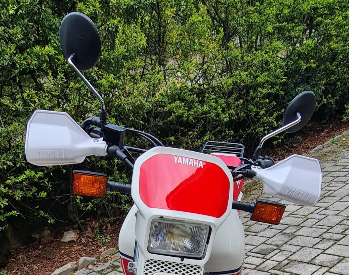 Yamaha Ténéré 600 XT 1VJ (14)