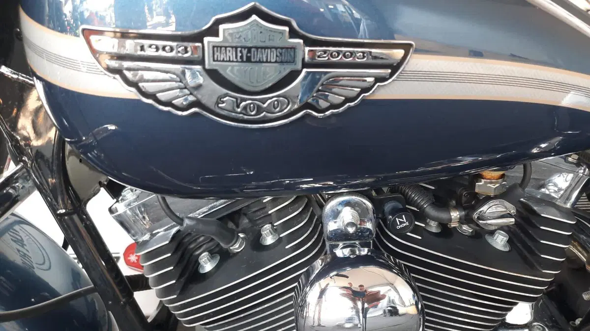 Harley-Davidson 1450 Road King (2002 - 04) - FLHRI (8)